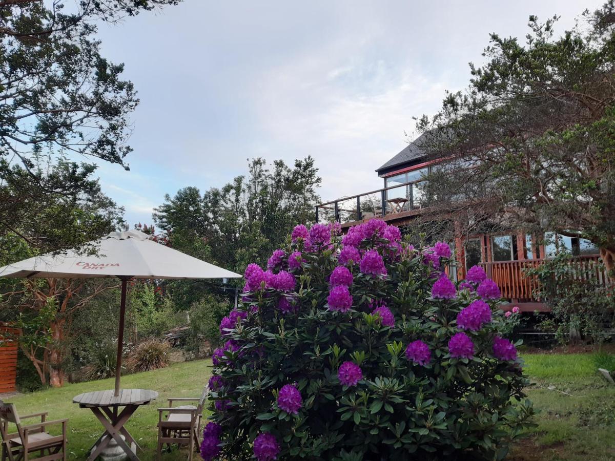 Hostel Torobayo Valdivia Eksteriør bilde